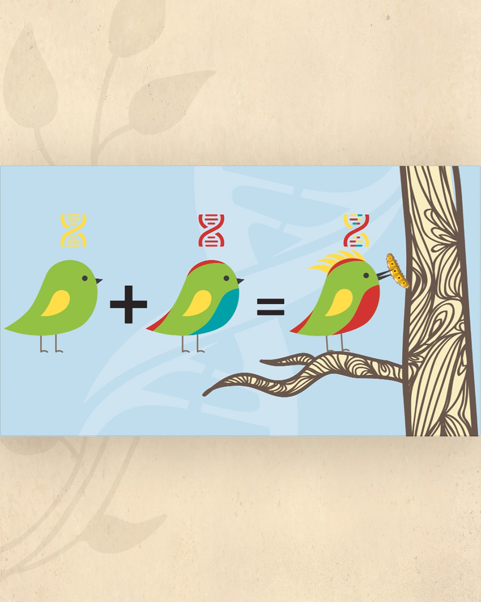 10 Verdades sobre OGMS